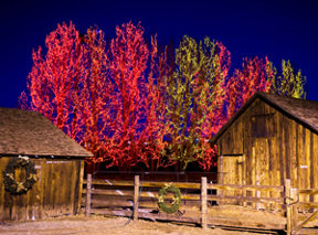 trailoflightsatchatfield