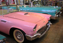 pink-thunderbird