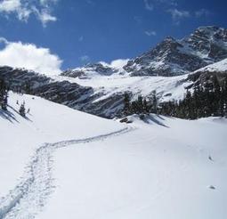 winter-trail-rmnp
