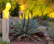 flw-sculpture-in-sun1