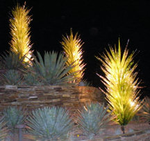 glass-yuccas-night-r