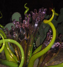 green-and-purple-night-r