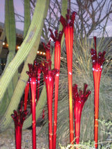 red-glass-at-dusk-r1