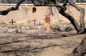 tnhp-cemetery tnhp-cemetery