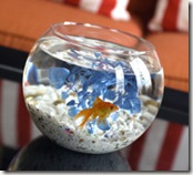 Hotel Monaco - Goldfish