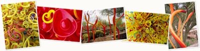 View Chihuly 1