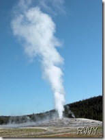 Old Faithful Geyser