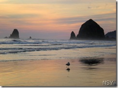 Cannon Beach Sunset