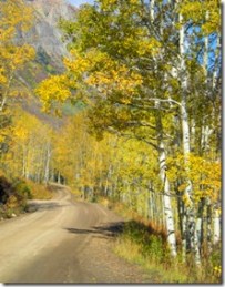 Curving Gothic Road Thru Aspen
