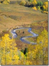 East River Goosenecks