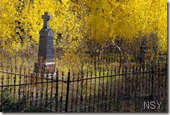 Leadville Grave with Aspen