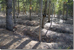 Leadville Sunken Graves