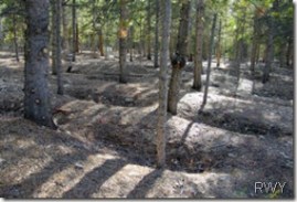 Leadville Sunken Graves