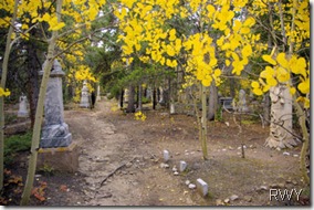 Mount Baldy Cemetery in Fall