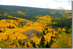 Peak to Peak Aspens