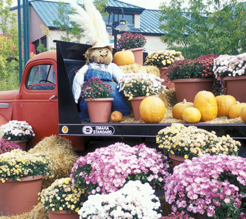 Rio Grande Botanic Garden - Truck