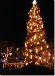 Broadmoor Tree Lighting