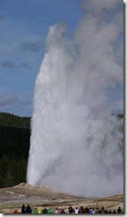 Old Faithful Geyser - Bob