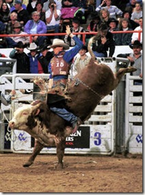 NWSS - Bull Riding - PRB3