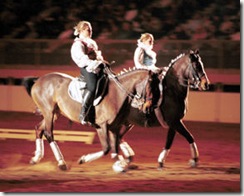 NWSS - Dancing Horse 3