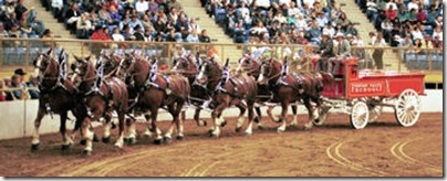 NWSS - Draft Horses