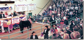 NWSS - Junior Auction