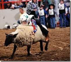 NWSS - Mutton Bustin'