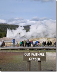Old Faithful