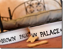 Brown Palace Puppy Love