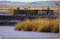 Whitewater Draw  - Viewing Deck