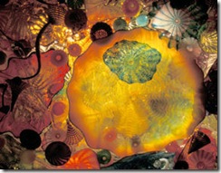 Ceiling Panel at NightA - Blog