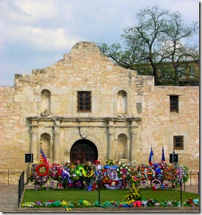 San Antonio - Alamo with Flowers