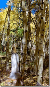 3 Daughters Headstone - Como Cemetery - B