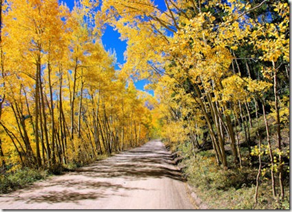 Boreas Pass Road - West Side 2 - B