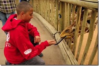 Giraffe Tongue - Red Shirt - B