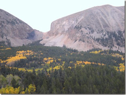 Aspen on LaVeta Pass 2 - B