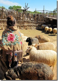 Golondrinas Sheep and Lady - B