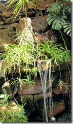 Black Forest Waterfall - B