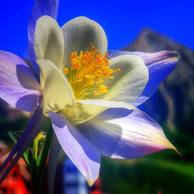 1013677_577380435616858_139205703_n