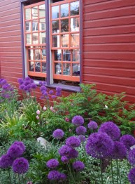 DSC01052 - Version 2