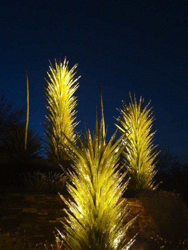 DBG - Glass Yuccas Night