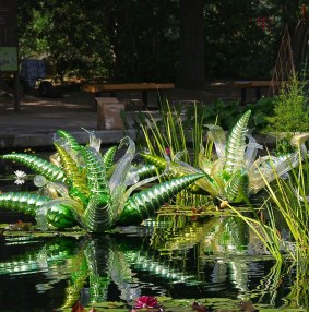 Green Hornets in Pond