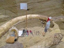 Mammoth Site 4