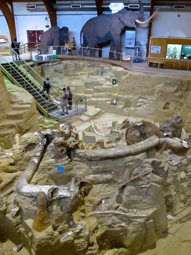 Mammoth Site 5