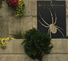 Black Widow Winery