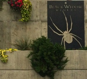Black Widow Winery