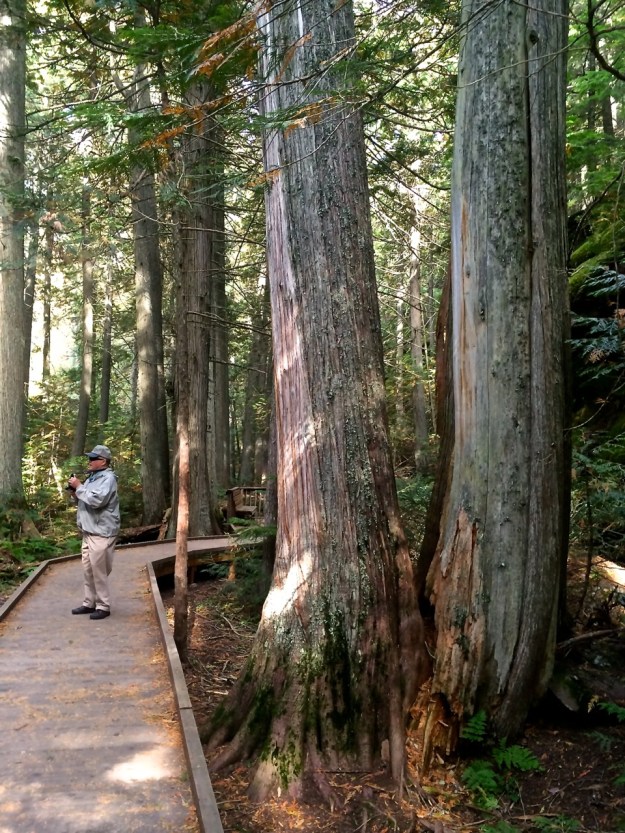 Bob on Trail od Cedars