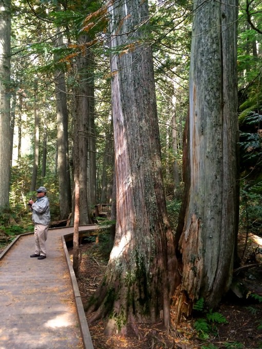 Bob on Trail od Cedars