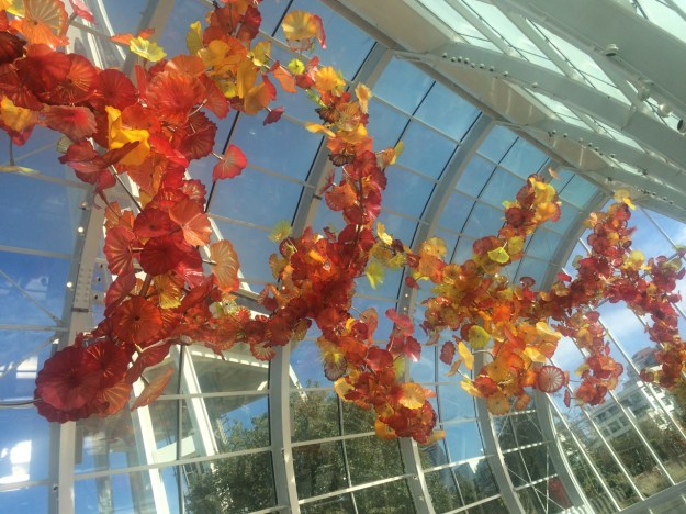 Glass House Installation