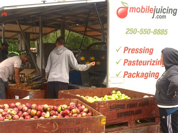 Parsons - Apple Juicing